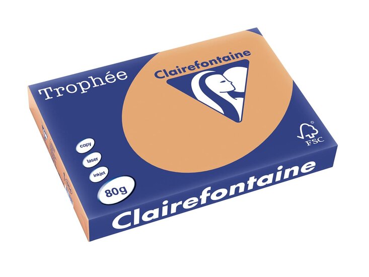 Clairefontaine Troph&eacute;e Pastel, gekleurd papier, A3, 80 g, 500 vel, mokkabruin