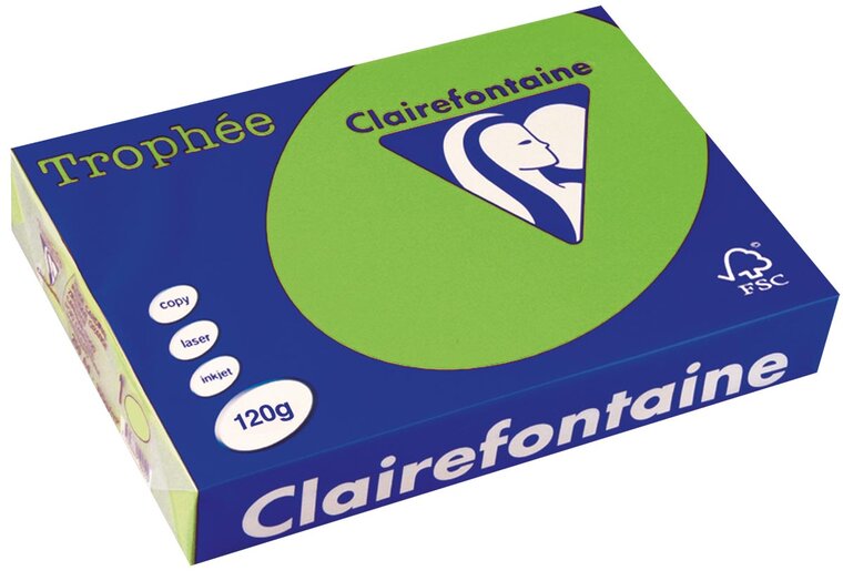 Clairefontaine Troph&eacute;e Intens, gekleurd papier, A4, 120 g, 250 vel, grasgroen