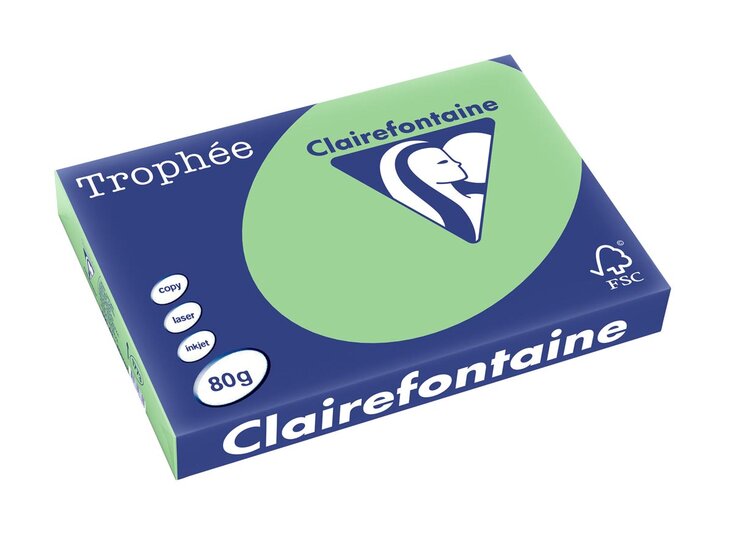 Clairefontaine Troph&eacute;e Pastel, gekleurd papier, A3, 80 g, 500 vel, natuurgroen