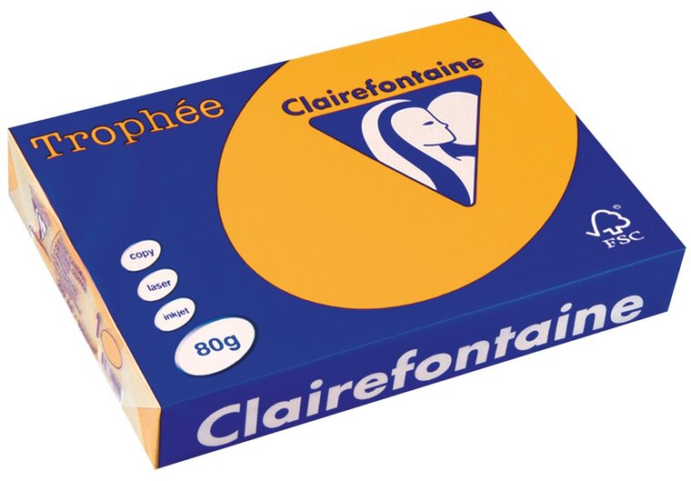 Clairefontaine Troph&eacute;e Pastel, gekleurd papier, A4, 80 g, 500 vel, goudgeel