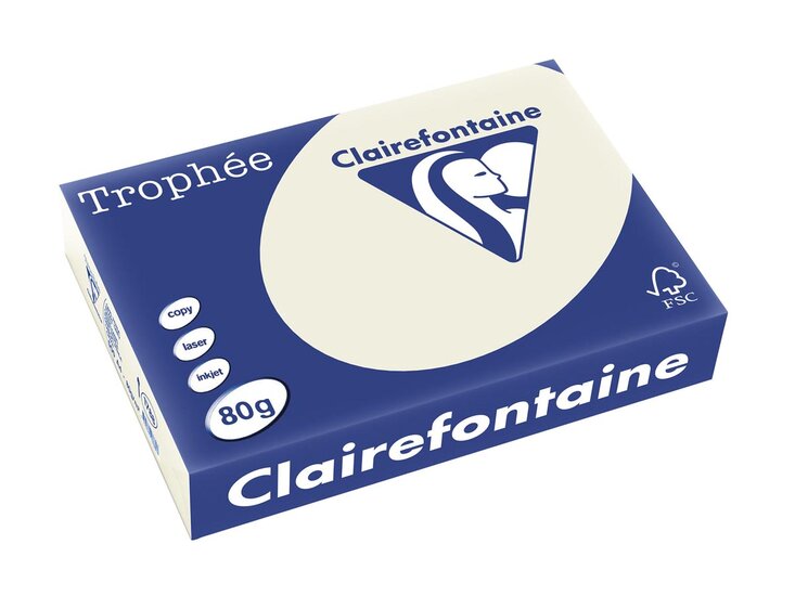 Clairefontaine Troph&eacute;e gekleurd papier, A4, 80 g, 500 vel, parelgrijs