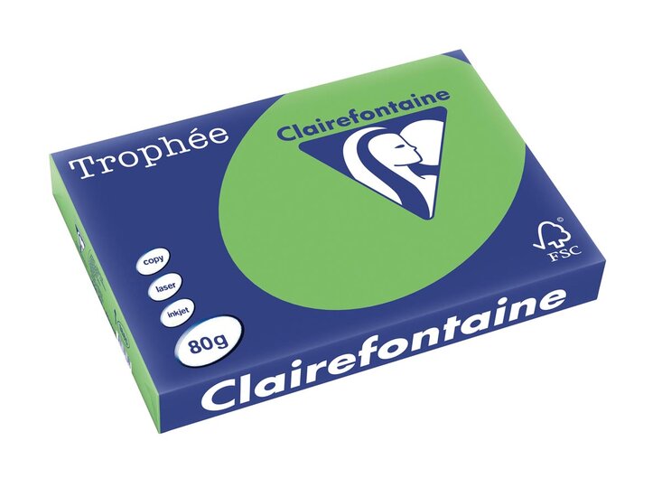 Clairefontaine Troph&eacute;e Intens, gekleurd papier, A3, 80 g, 500 vel, muntgroen