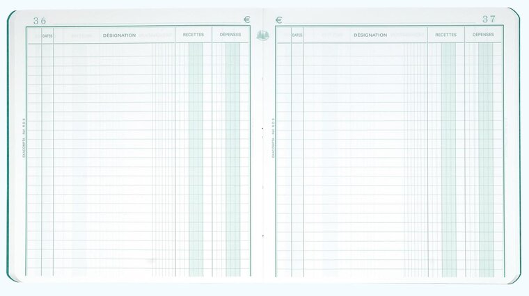 Exacompta ontvangsten en uitgaven, ft 21 x 19 cm, Nederlandstalig