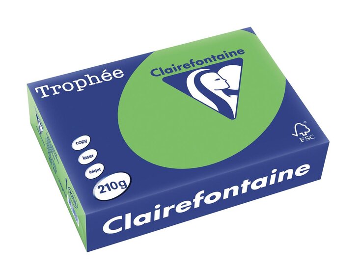 Clairefontaine Troph&eacute;e Intens, gekleurd papier, A4, 210 g, 250 vel, grasgroen