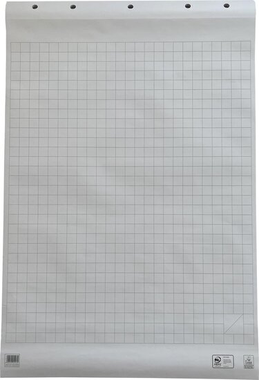 Work papierblok voor flipcharts, geruit, ft 65 x 98 cm, blok van 50 vel