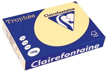 Clairefontaine Troph&eacute;e Pastel, gekleurd papier, A4, 120 g, 250 vel, kanariegeel