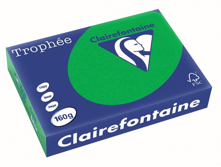 Clairefontaine Troph&eacute;e Intens, gekleurd papier, A4, 160 g, 250 vel, bijartgroen