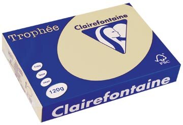 Clairefontaine Troph&eacute;e Pastel, gekleurd papier, A4, 120 g, 250 vel, gems