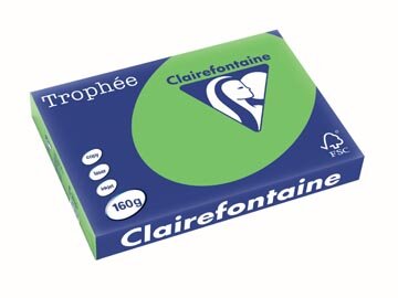 Clairefontaine Troph&eacute;e Intens, gekleurd papier, A3, 160 g, 250 vel, grasgroen