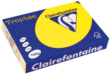 Clairefontaine Troph&eacute;e Intens, gekleurd papier, A4, 160 g, 250 vel, zonnegeel