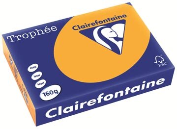 Clairefontaine Troph&eacute;e Pastel, gekleurd papier, A4, 160 g, 250 vel, oranje