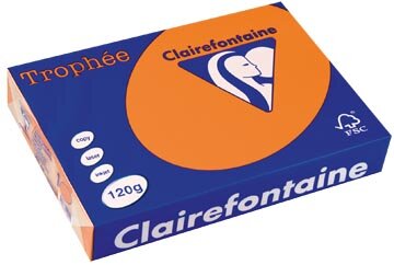 Clairefontaine Troph&eacute;e Pastel, gekleurd papier, A4, 120 g, 250 vel, oranje