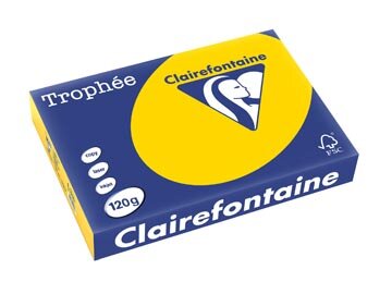 Clairefontaine Troph&eacute;e Pastel, gekleurd papier, A4, 120 g, 250 vel, goudgeel