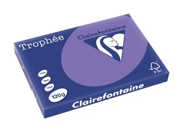 Clairefontaine Troph&eacute;e Intens, gekleurd papier, A3, 120 g, 250 vel, violet