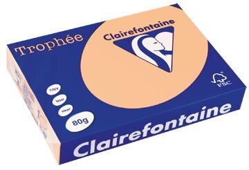 Clairefontaine Troph&eacute;e gekleurd papier, A4, 80 g, 500 vel, zalm