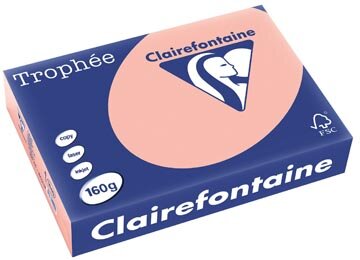 Clairefontaine Troph&eacute;e Pastel, gekleurd papier, A4, 160 g, 250 vel, perzik