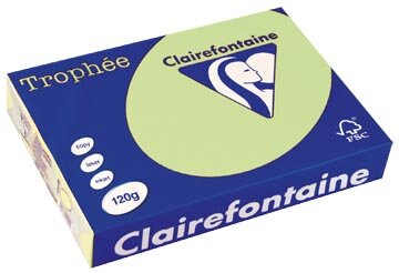 Clairefontaine Troph&eacute;e Pastel, gekleurd papier, A4, 120 g, 250 vel, groen