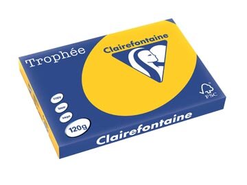 Clairefontaine Troph&eacute;e Intens, gekleurd papier, A3, 120 g, 250 vel, zonnebloemgeel