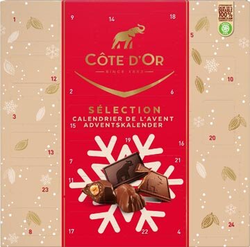 C&ocirc;te d&#039;Or chocolade adventskalender, doos van 235 g