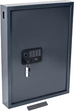 Pavo Magnettag sleutelkast, voor 50 sleutelhangers, donkergrijs