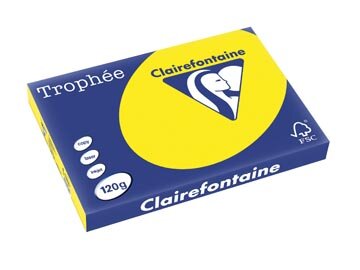 Clairefontaine Troph&eacute;e Intens, gekleurd papier, A3, 120 g, 250 vel, zonnegeel