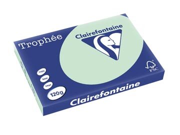 Clairefontaine Troph&eacute;e Pastel, gekleurd papier, A3, 120 g, 250 vel, groen