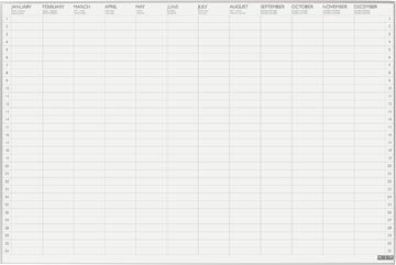 Desq jaarplanner Ultra Thin, magnetisch, ft 60 x 90 cm