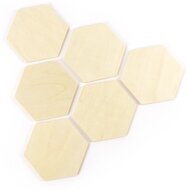 Graine Cr&eacute;ative zakje van 30 hexagonale vormen om te decoreren