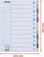 Esselte tabbladen 12 tabs, karton van 275 g/m&sup2;