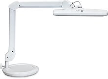 MAUL werkpleklamp LED Intro, met voet, dimbaar, wit