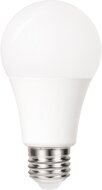 Integral Classic Globe LED lamp E27, dag/nacht sensor, niet dimbaar, 5.000 K, 4,8 W, 470 lumen