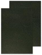 KF00501_2.jpg