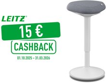 Leitz Ergo actieve Zit/Sta kruk met comfortzitting, lichtgrijs