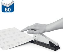 3305700_4.jpg