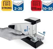 3305700_6.jpg