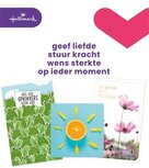 Hallmark navulset wenskaarten, beterschap/sterkte, pak van 12 stuks Hallmark navulset wenskaarten, beterschap/sterkte, pak van 12 stuks
