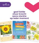 Hallmark set wenskaarten, A4 zakelijke momenten, pak van 8 stuks Hallmark set wenskaarten, A4 zakelijke momenten, pak van 8 stuks