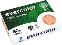 Clairefontaine Evercolor, gekleurd gerecycleerd papier, A4, 80 g, 500 vel, zalm Clairefontaine Evercolor, gekleurd gerecycleerd papier, A4, 80 g, 500 vel, zalm