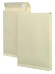 Monsterzakken ft 262 x 371 x 38 mm, doos van 125 stuks Monsterzakken ft 262 x 371 x 38 mm, doos van 125 stuks
