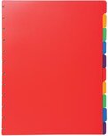 Exacompta uitneembare tabbladen voor showalbum met ringen, in gekleurd PP, 10 tabs Exacompta uitneembare tabbladen voor showalbum met ringen, in gekleurd PP, 10 tabs