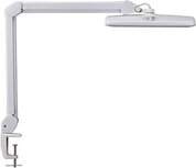 MAUL werkpleklamp LED Intro, met tafelklem, dimbaar, wit MAUL werkpleklamp LED Intro, met tafelklem, dimbaar, wit