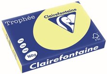 Clairefontaine Trophée Pastel, gekleurd papier, A3, 160 g, 250 vel, citroengeel Clairefontaine Trophée Pastel, gekleurd papier, A3, 160 g, 250 vel, citroengeel