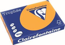 Clairefontaine Trophée Pastel, gekleurd papier, A3, 160 g, 250 vel, oranje Clairefontaine Trophée Pastel, gekleurd papier, A3, 160 g, 250 vel, oranje