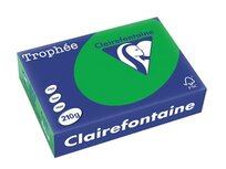 Clairefontaine Trophée Intens, gekleurd papier, A4, 210 g, 250 vel, bijartgroen Clairefontaine Trophée Intens, gekleurd papier, A4, 210 g, 250 vel, bijartgroen
