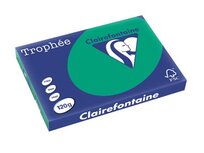 Clairefontaine Trophée Intens, gekleurd papier, A3, 120 g, 250 vel, dennengroen Clairefontaine Trophée Intens, gekleurd papier, A3, 120 g, 250 vel, dennengroen
