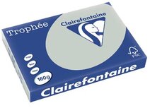 Clairefontaine Trophée Pastel, gekleurd papier, A3, 160 g, 250 vel, lichtgrijs Clairefontaine Trophée Pastel, gekleurd papier, A3, 160 g, 250 vel, lichtgrijs