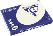 Clairefontaine Trophée Pastel, gekleurd papier, A3, 120 g, 250 vel, parelgrijs Clairefontaine Trophée Pastel, gekleurd papier, A3, 120 g, 250 vel, parelgrijs