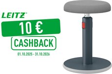 Leitz Ergo Cosy actieve Zit/Sta kruk, grijs