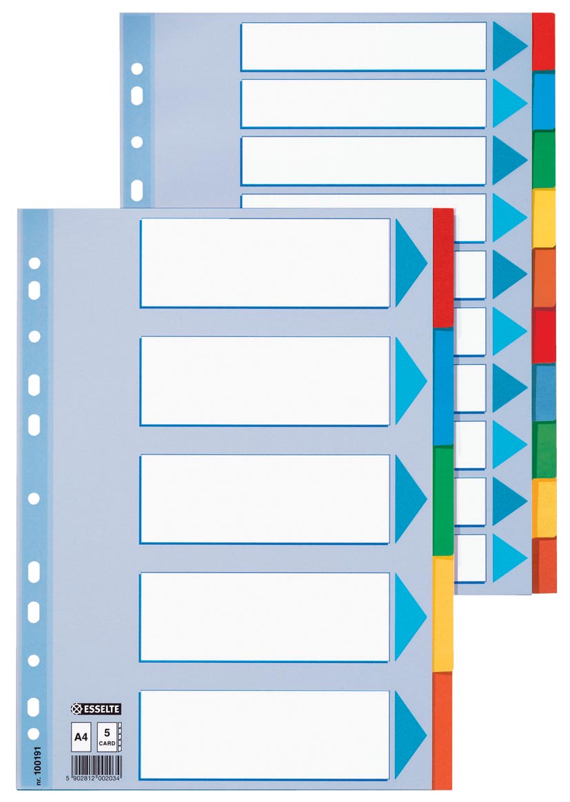 Esselte tabbladen 6 tabs