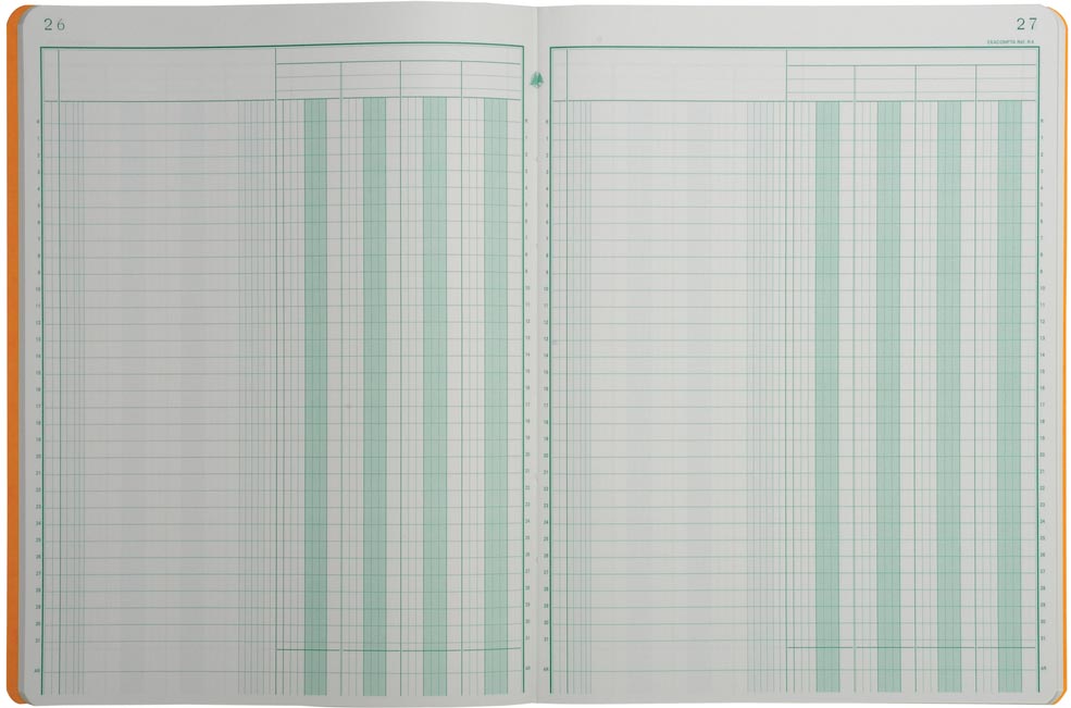 Exacompta registers, ft 32 x 25 cm, 4 kolommen op 1 bladzijde, 31 lijnen, 80 bladzijden